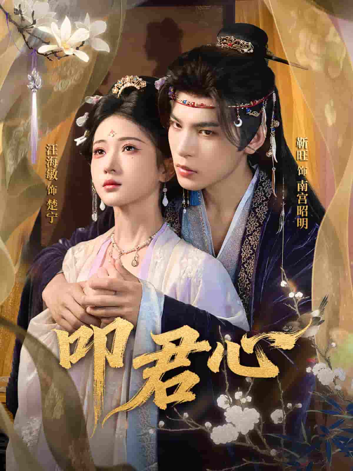 叩君心