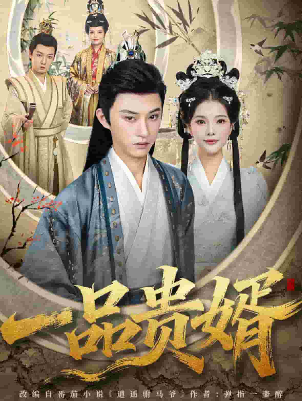 一品贵婿