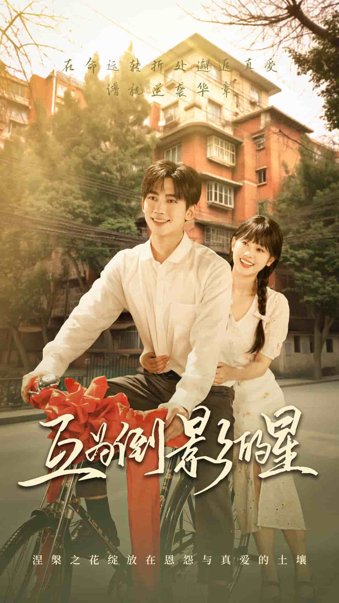 互为倒影的星