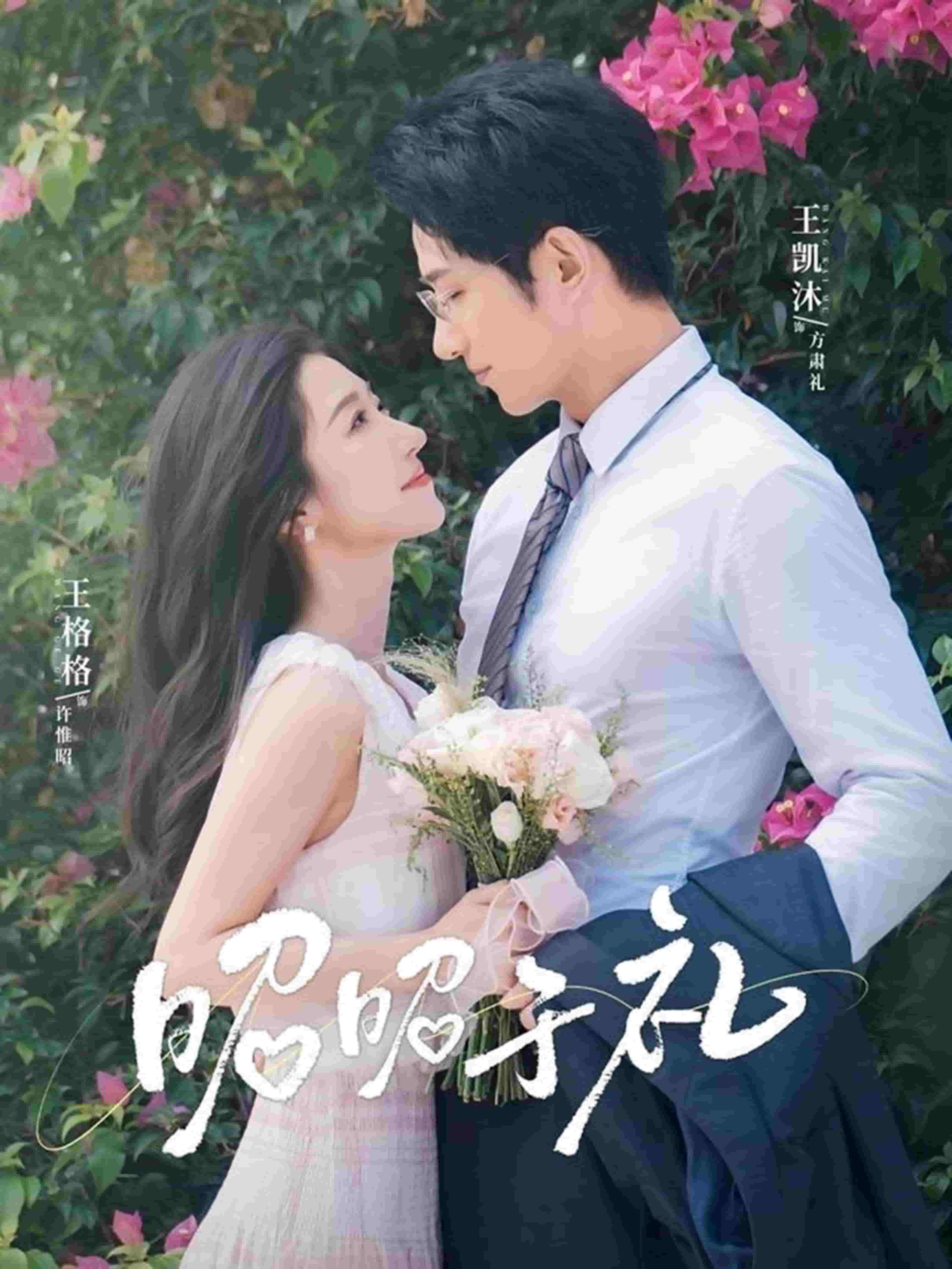 昭昭于礼