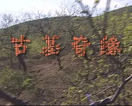 古墓奇缘2009