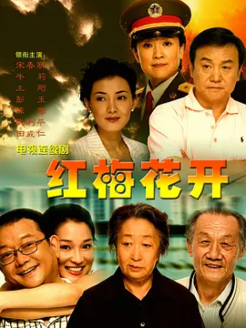 红梅花开