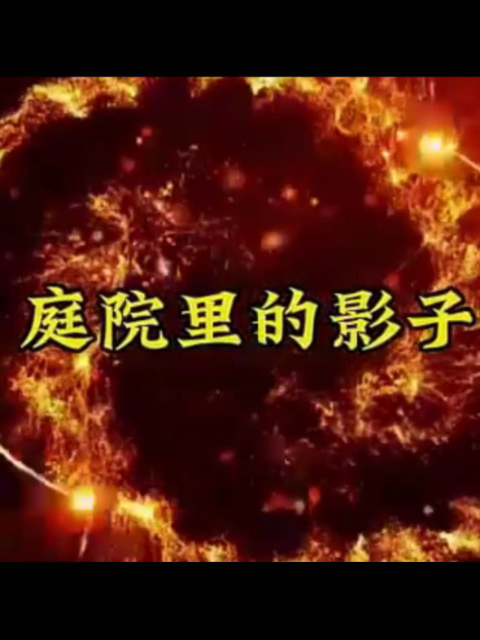 庭院里的影子